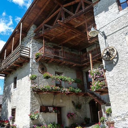 Agriturismo Barba Gust Чезана-Торинезе Екстер'єр фото