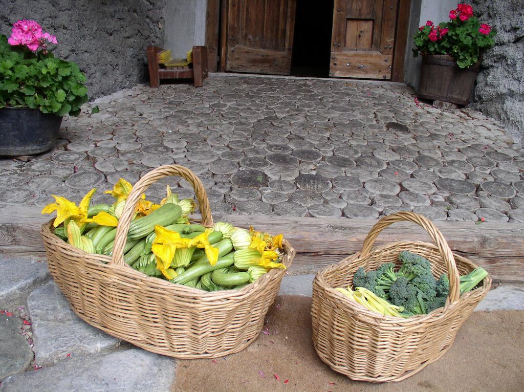 Agriturismo Barba Gust Чезана-Торинезе Екстер'єр фото