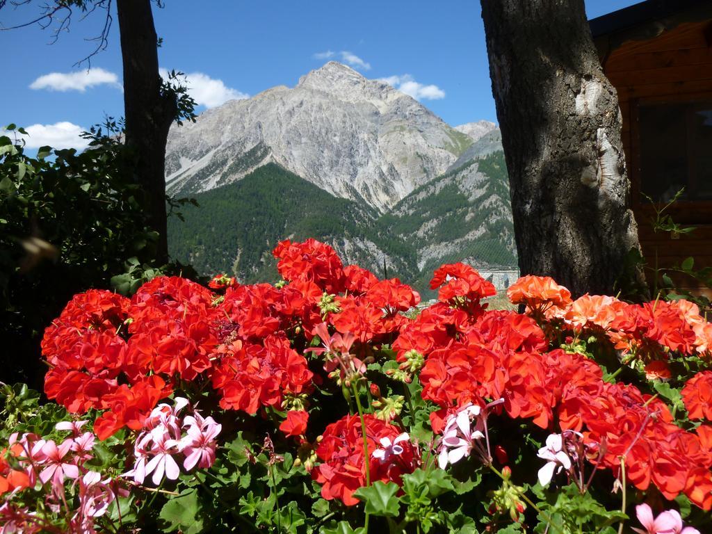 Agriturismo Barba Gust Чезана-Торинезе Екстер'єр фото
