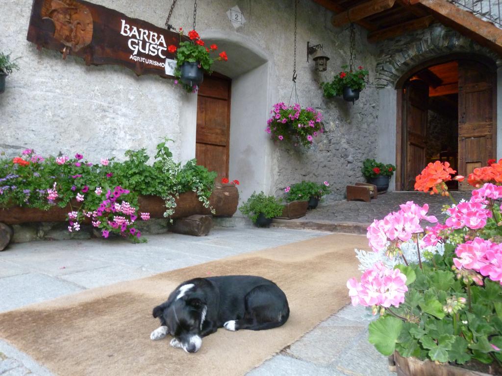 Agriturismo Barba Gust Чезана-Торинезе Екстер'єр фото