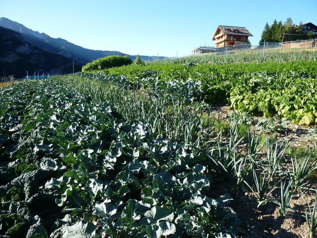 Agriturismo Barba Gust Чезана-Торинезе Екстер'єр фото