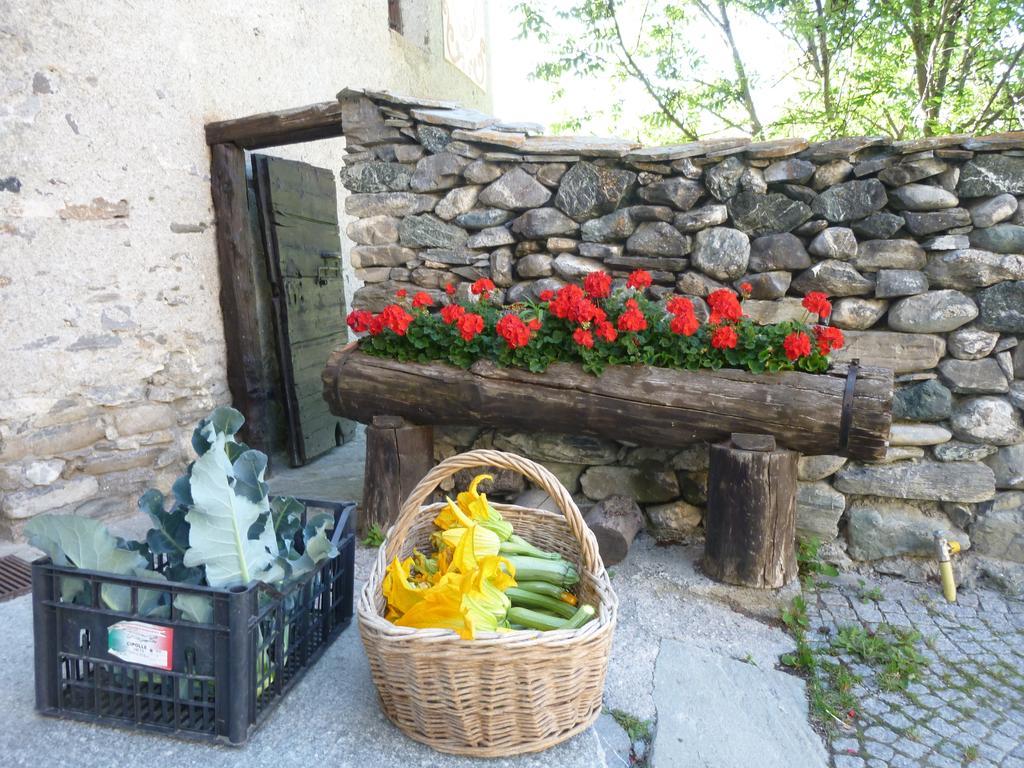 Agriturismo Barba Gust Чезана-Торинезе Екстер'єр фото