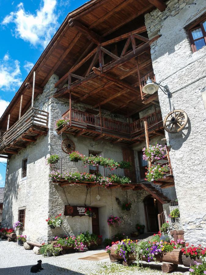 Agriturismo Barba Gust Чезана-Торинезе Екстер'єр фото